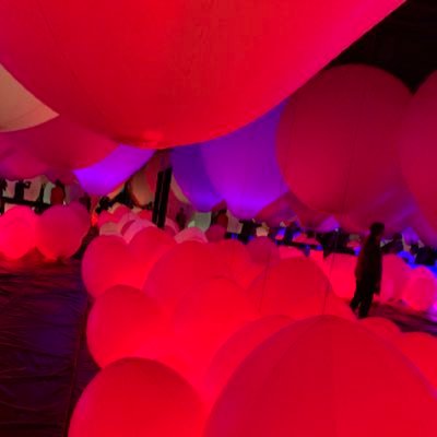 SugerRusk's profile picture. 