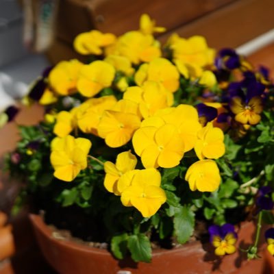 tonino87168622's profile picture. Disfrutando de mi soledad