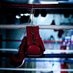 UKamateurboxing (@ukboxingclubs) Twitter profile photo UKamateurboxing (@ukboxingclubs) Twitter profile photo
