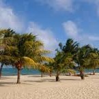 bzegyal3's profile picture. 