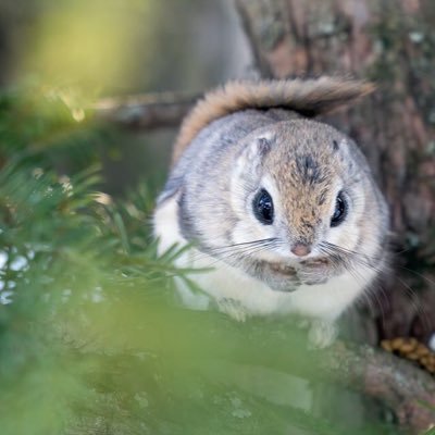 tinytip2's profile picture. 