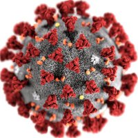 SARS-CoV-19 Preprints (@sarscov192) 's Twitter Profile Photo SARS-CoV-19 Preprints (@sarscov192) 's Twitter Profile Photo