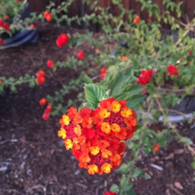 bridgetannmae's profile picture. 