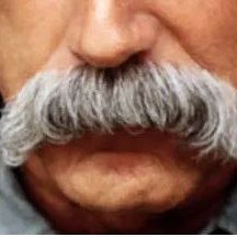 MustacheElliott Profile Picture