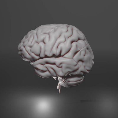 Kaj9sOmlP7MyWNn's profile picture. 文理専攻年齢問わず脳に関わる勉強をしている札幌の人々を集めて、「脳」という単語を共通項に一緒に勉強するサークル。このアカウントではイベントの通知を主に投稿します。現在50名程度でダラダラと活動中(*'ω'*)
興味のある方はDMよりご連絡お待ちしております。
(サイトの連絡フォームや連絡先は今使えないです)