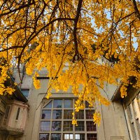 Renli Wu (@renliwu) 's Twitter Profile