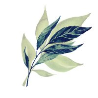 GREENERY market(@greenerymarket) 's Twitter Profile Photo