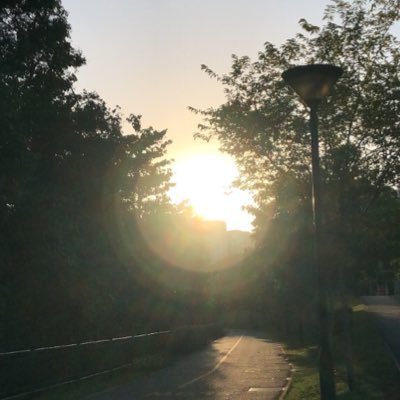 _zenophilius's profile picture. Life, the Universe, and Everything; Philosophy, Society, Environment, History, Language, Culture, Astronomy, Mindfulness. #Hufflepuff