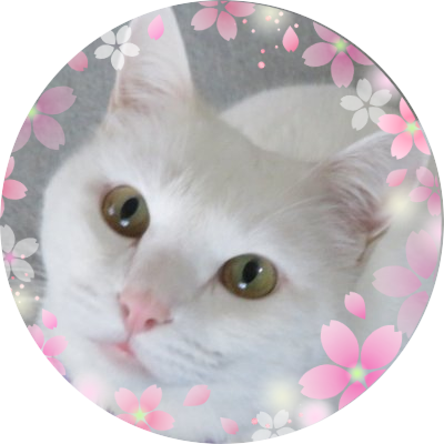 杏 Kyou Yukiiruka Twitter 杏 Kyou Yukiiruka Twitter