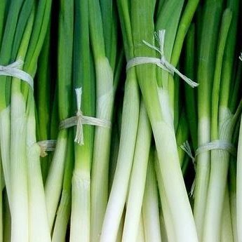 Anyone out there have scallions?