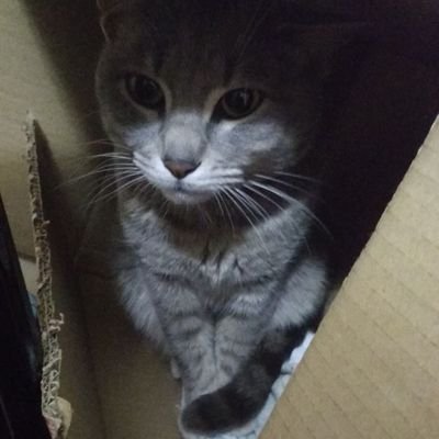 inmamf's profile picture. 