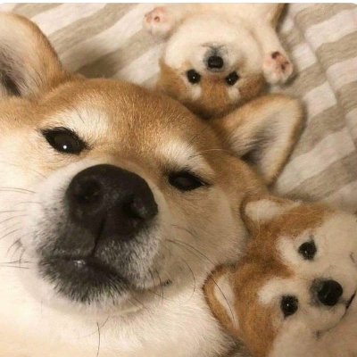 LoveSapai's profile picture. | BTS | all my story | #VMin A.R.M.Y.|