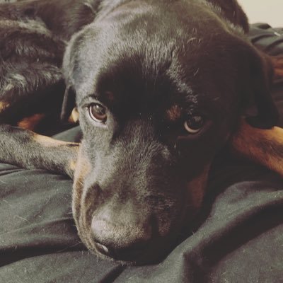 Miss_Princess_K's profile picture. Confidence is a stain they can't wipe off.