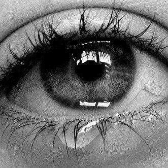Podrás borrar los recuerdos pero no las marcas en tu cuerpo
You can delete the memories but no the mark in your body