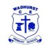 Wadhurst CE Primary School & Nursery (@wadhurstprimary) Twitter profile photo Wadhurst CE Primary School & Nursery (@wadhurstprimary) Twitter profile photo