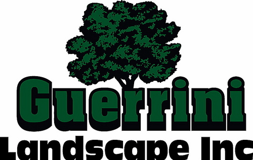 GuerriniLand's profile picture. 