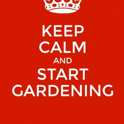 VanSantenGplant's profile picture. Kwekerij van Osteospermum en Gardenmum