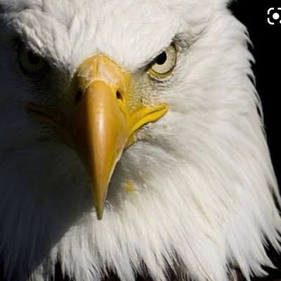 ReyTariacuri5's profile picture. Economía