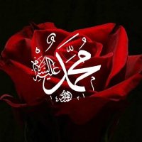 nur türel 🇹🇷 (@turelnur) 's Twitter Profile