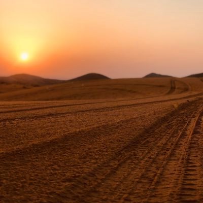 i__flan's profile picture. ستعلمُ حينَ ينجلي الغبارُ .. أفرسٌ تحتكَ أم حِمارُ