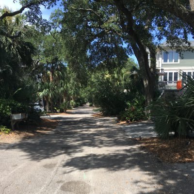 kmdurk's profile picture. 