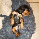 Jim Travis - @JimTrav07495613 - Twitter