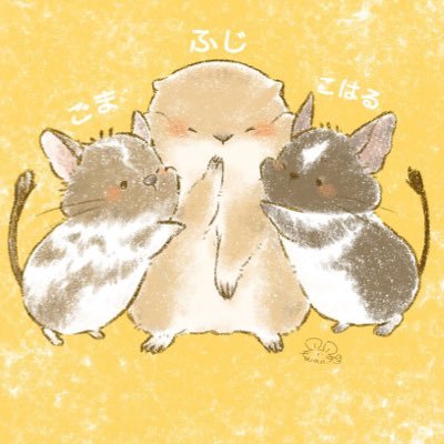 icon/@155wan ポチンキ🐹🌈ごま🐁🌈/#デグー (こはる♀)🌈 #リチャードソンジリス (ふじ♂) 🌈#ホーランドロップ(ななすけ♂) #アビシニアンモルモット (みりん♀/みこと♀)