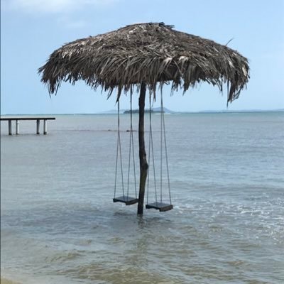 elyucarubio's profile picture. 