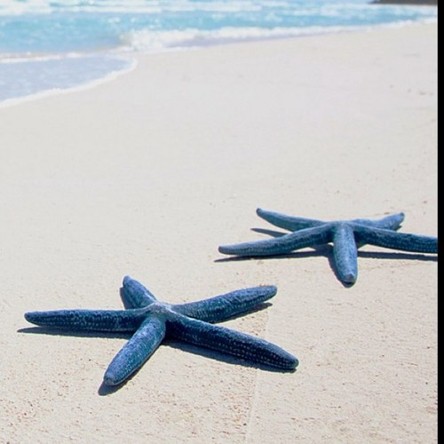 manuanthonis's profile picture. 