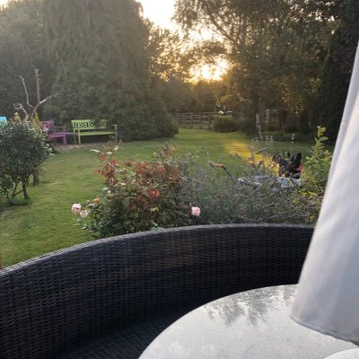 SportingBarbers's profile picture. Men’s Barber 💈