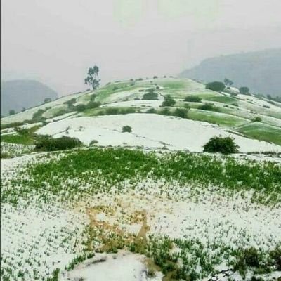 altayar123456's profile picture. لا إله إلا أنت سبحانك اني كنت من الظالمين.