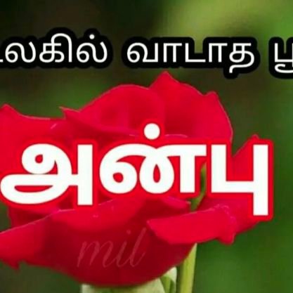 அன்பு. தமிழ் மட்டும் பேச வேண்டும்