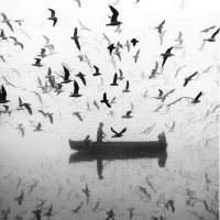 دعوة للتأمل. (@t__alhammad) 's Twitter Profile
