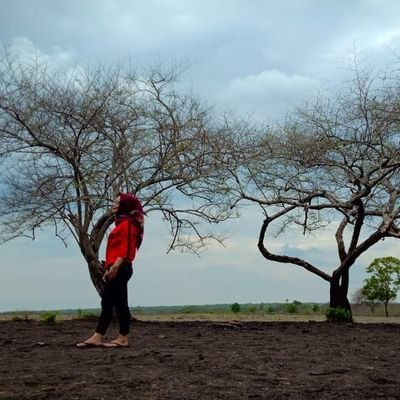 Trans237's profile picture. Ready Tactical 081211058882