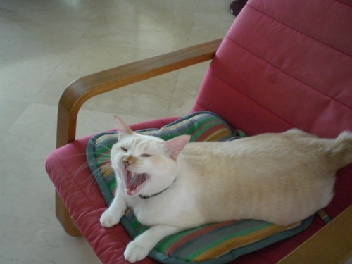 weiyang1234's profile picture. 