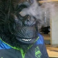 THEE Smoking gorilla(@Rysen988) 's Twitter Profile Photo