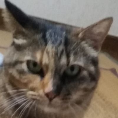 fVuGEwc3g8M3pHy's profile picture. 