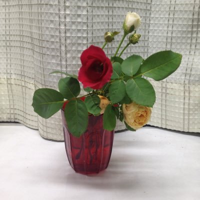 sparkjoy13's profile picture. 興味津々です💕