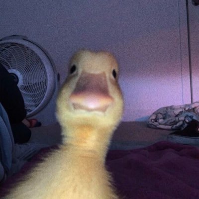 Nguyenthidai's profile picture. Nope