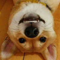 Eric Olson (@evilduck92) 's Twitter Profile Photo