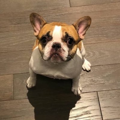 LecombePatrick's profile picture. je suis un homme sympa 💋🌹❤️