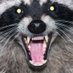 very smart man (@rodsfromgod) Twitter profile photo very smart man (@rodsfromgod) Twitter profile photo