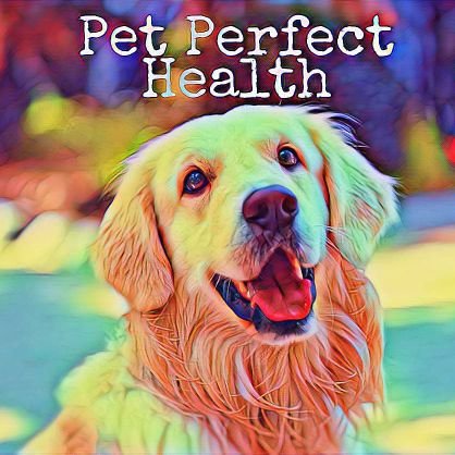 All the natural support your pet needs, in one place
We offer one of the most sought after immune building supplements for humans and pets available