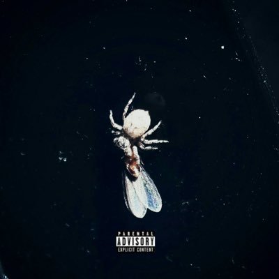 LilSonic777's profile picture. 💚 ‘Billie Eillish’ 💚 OUT NOW!