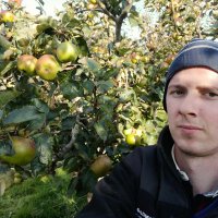 philip tallon (@tallonphilip) 's Twitter Profile