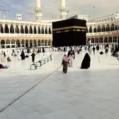 sadbird8's profile picture. 