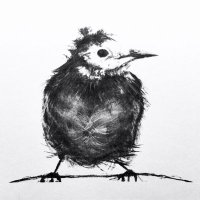 Jill Meager (@jillmeager) 's Twitter Profile Photo