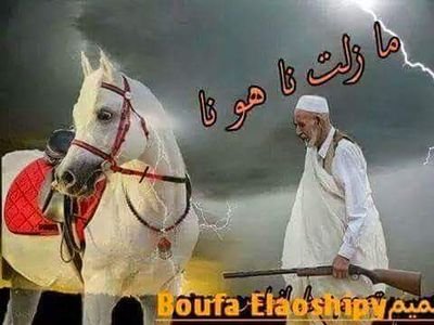 MhPfnFSUK0qGEQU's profile picture. 