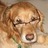 David Burleigh (@daburleigh) Twitter profile photo