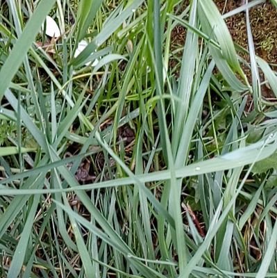 Quidam38237826's profile picture. habitant de #BoissySaintLeger